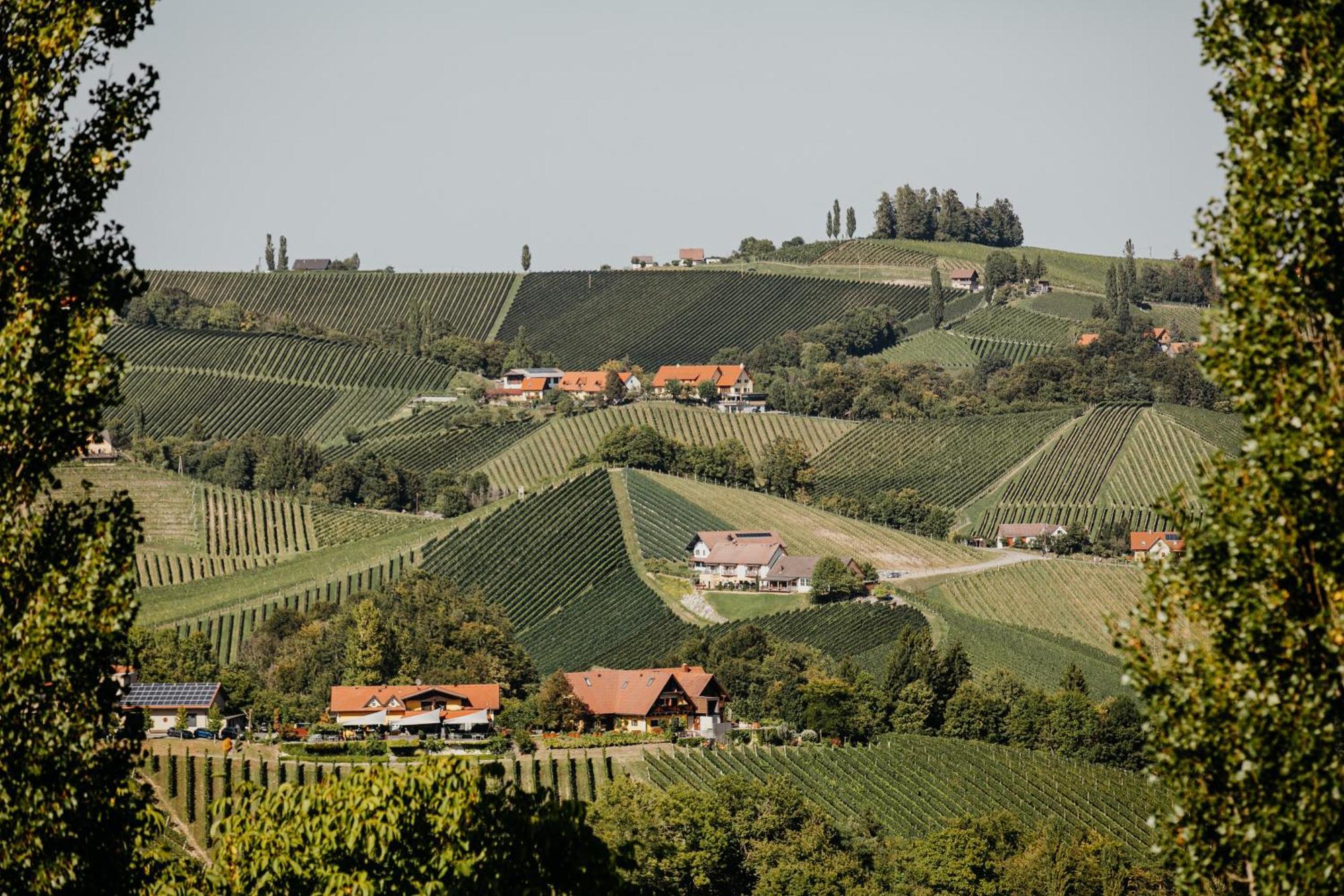 Ferienhaus Am Herbsthof Leutschach Eksteriør billede