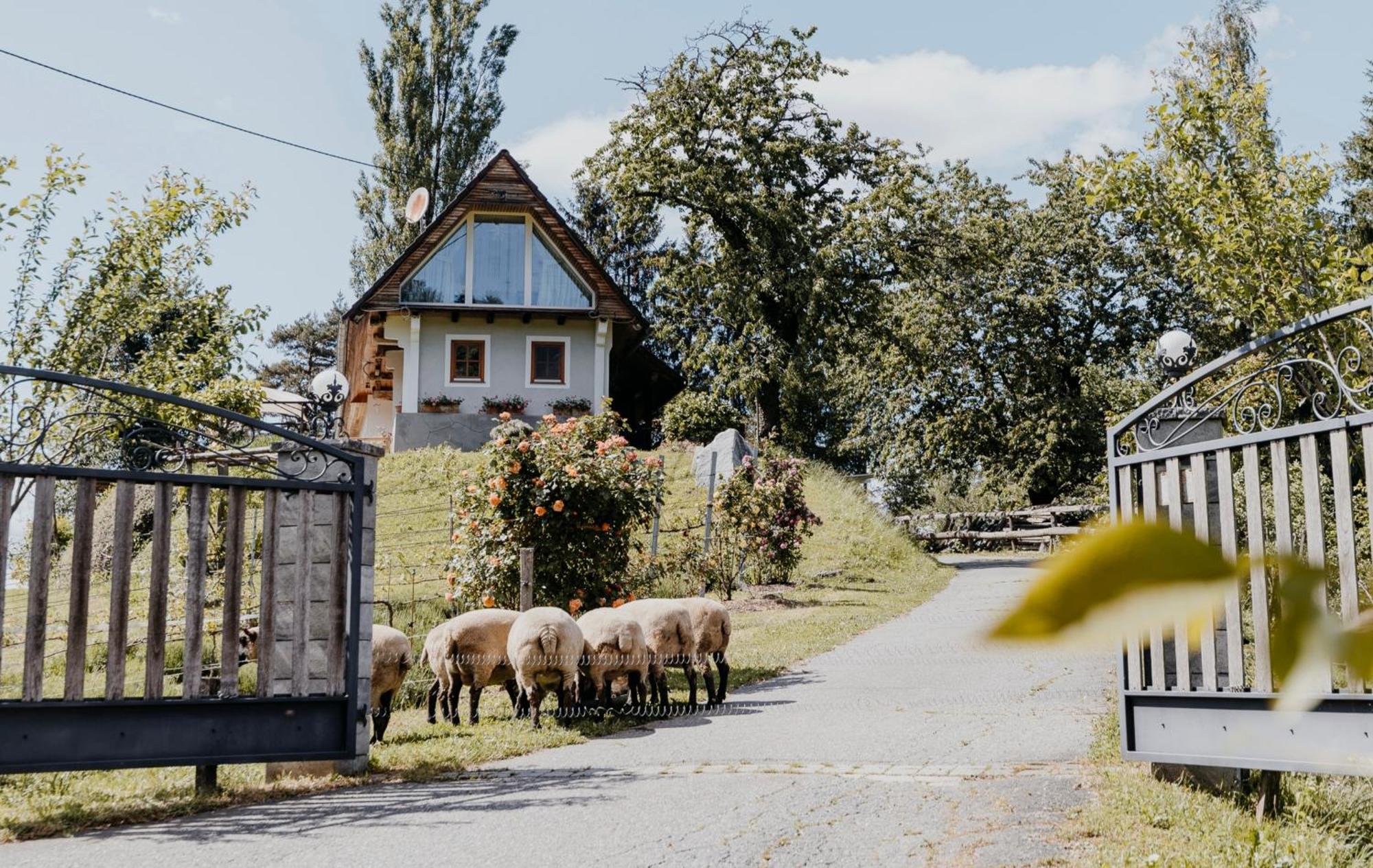 Ferienhaus Am Herbsthof Leutschach Eksteriør billede