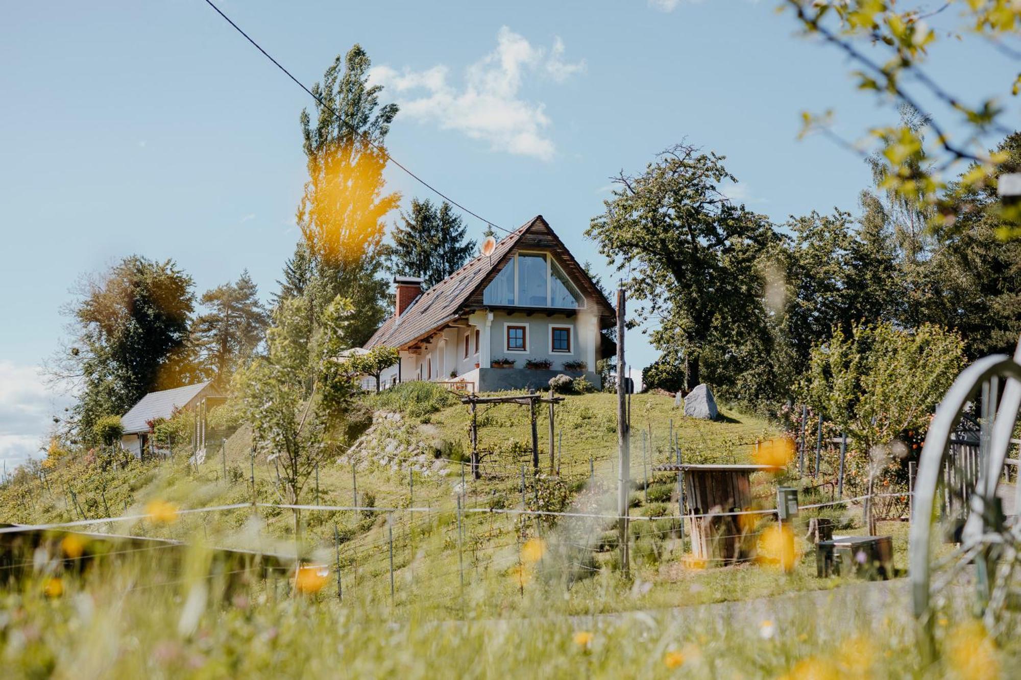 Ferienhaus Am Herbsthof Leutschach Eksteriør billede