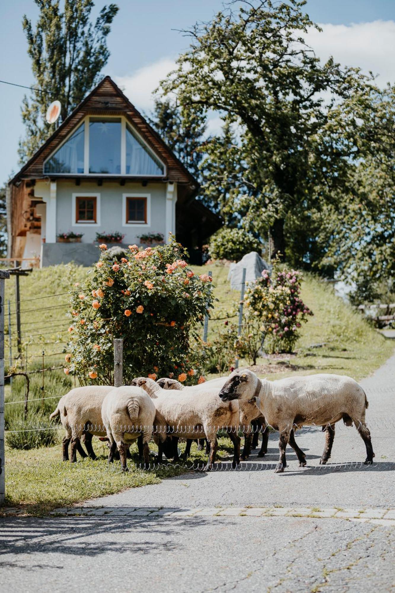 Ferienhaus Am Herbsthof Leutschach Eksteriør billede
