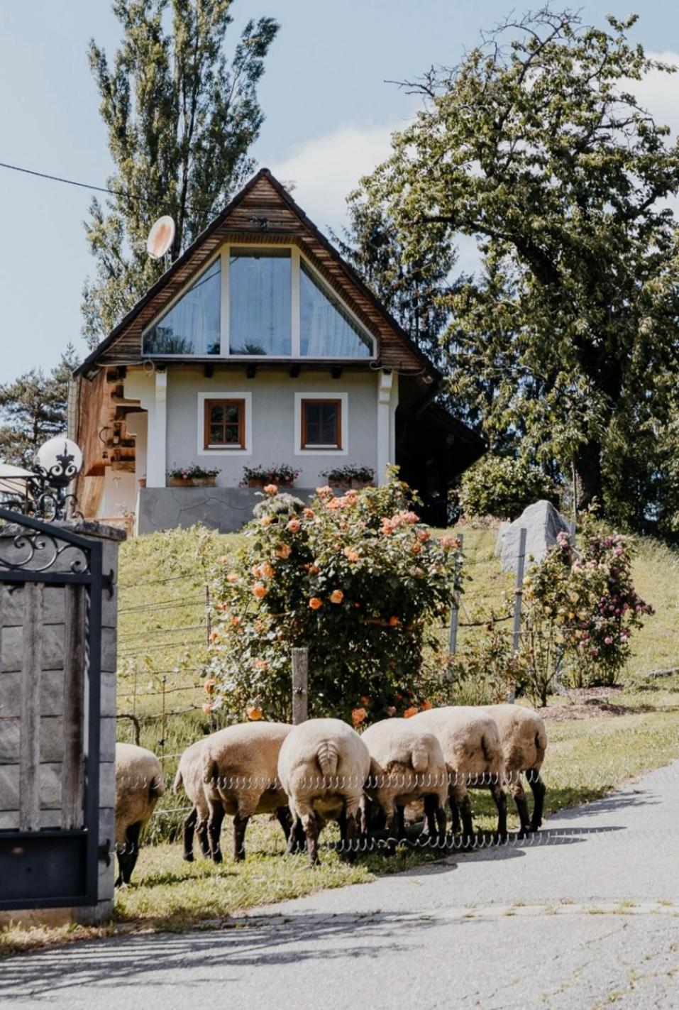 Ferienhaus Am Herbsthof Leutschach Eksteriør billede